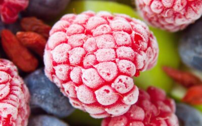 Zumit: distributore online di frutta surgelata per smoothies